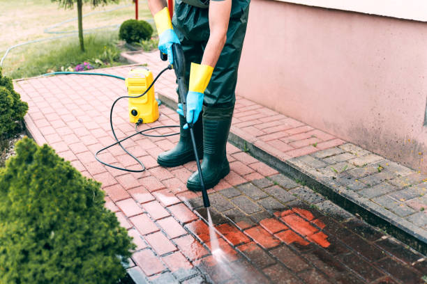 Best Brick and Stone Cleaning in Forest City, IA