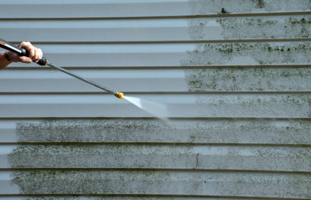 Professional Pressure Washing Services in Forest City, IA