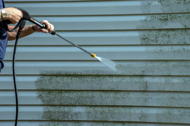 Best Building Exterior Pressure Washing in Forest City, IA