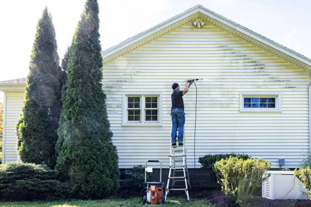 Best Roof Cleaning and Mildew Removal in Forest City, IA